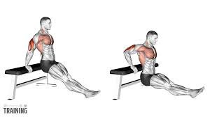 Bench Dips