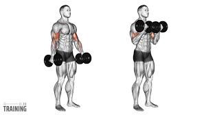 Bicep Curl