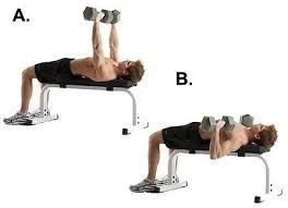 Dumbbell Bench Press
