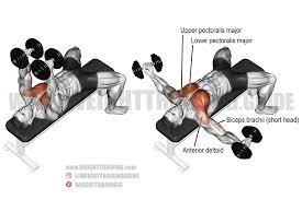 Dumbbell Fly
