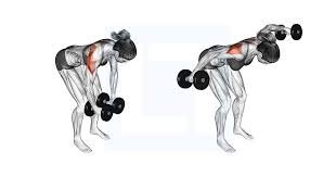 Rear Delt Fly